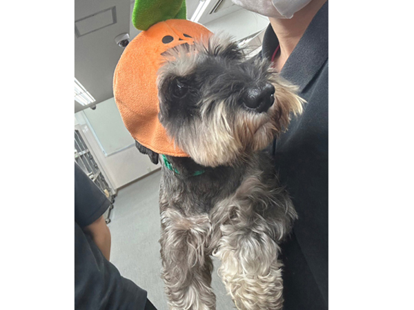生徒が撮影したモデル犬♪～PART①～